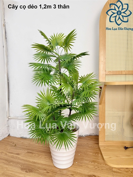 Cây cọ dẻo 1,2m 3 thân - Cây - Hoa Lụa Vân Vượng