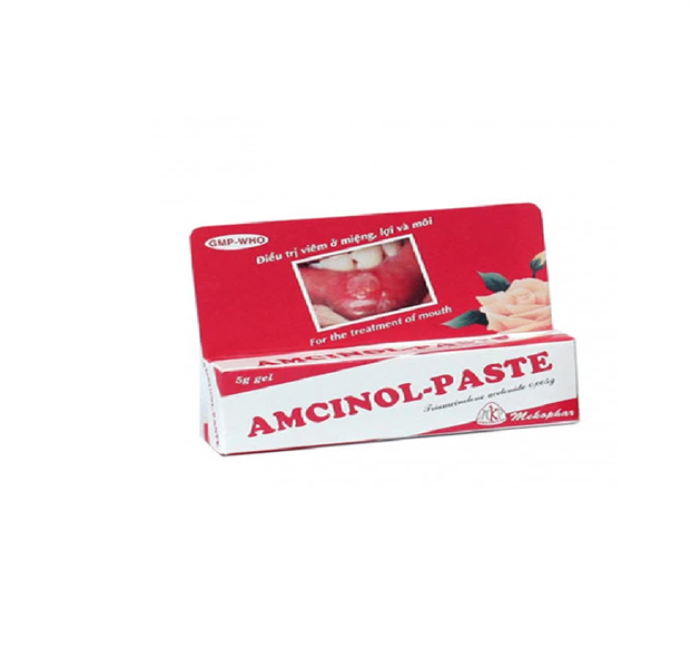 Nhiệt miệng amcinol - paste - Mekophar