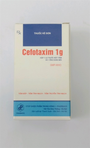 Thuốc Cefotaxim 1g TW1 kháng sinh tiêm điều trị nhiễm khuẩn (K*264 lọ)