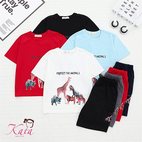 BT IN HƯƠU CAO CỔ KHỦNG LONG SIZE 4-14, R6