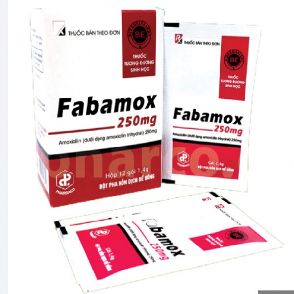 Thuốc kháng sinh Fabamox 250mg (Amoxicilin 250mg) điều trị nhiễm khuẩn (K*90H*12gói) - Tw1-Pharbaco/VN