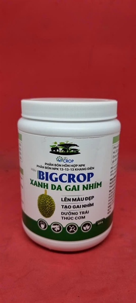 XANH DA GAI NHÍM BIG 320gr