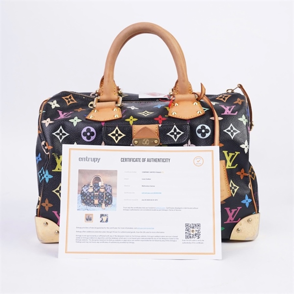 Túi LV Speedy Murakami Multicolor đen (kèm 1 chìa) sz30 (HC) +