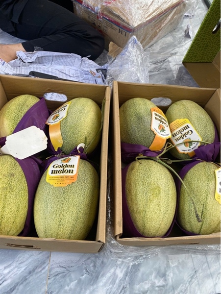 Dưa lưới Queen MeLon 1kg