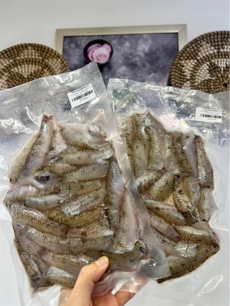 CÁ BỐNG bỏ đầu đuôi rửa sạch