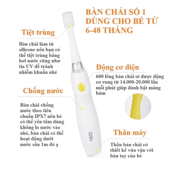 Bàn chải điện TGM