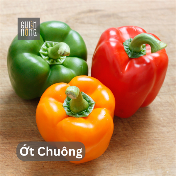 Ớt Chuông | 250-300g