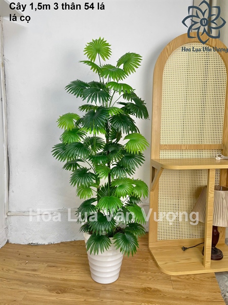 Cây 1,5m 3 thân 54 lá có chậu - Cây - Hoa Lụa Vân Vượng