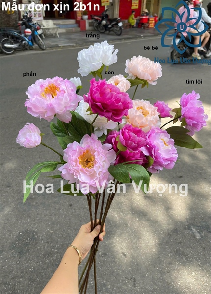 Mẫu đơn xịn 2b1n - Hoa cành dài - Hoa Lụa Vân Vượng