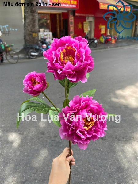 Mẫu đơn xịn 2b1n - sen - Hoa cành dài - Hoa Lụa Vân Vượng