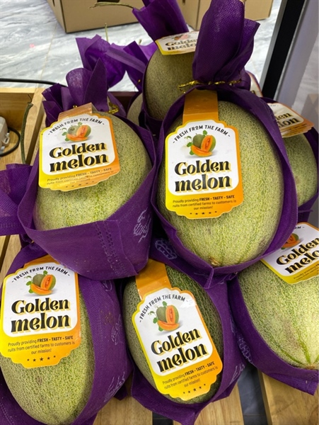 Dưa Lưới Golden Melon Kg