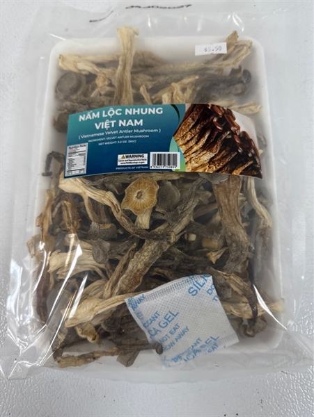 Nấm Lộc Nhung Việt Nam