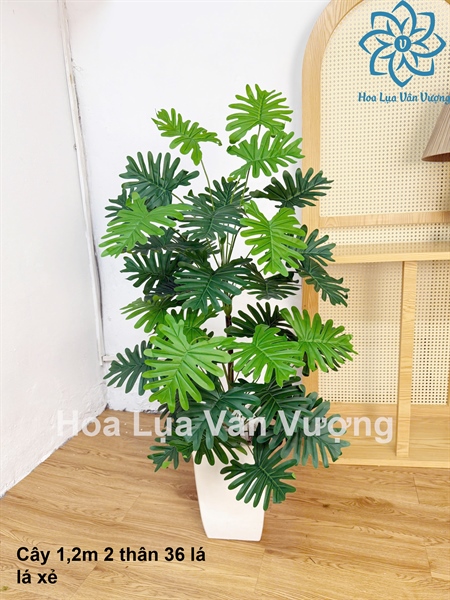Cây 1,2m 2 thân 36 lá có chậu - Cây - Hoa Lụa Vân Vượng