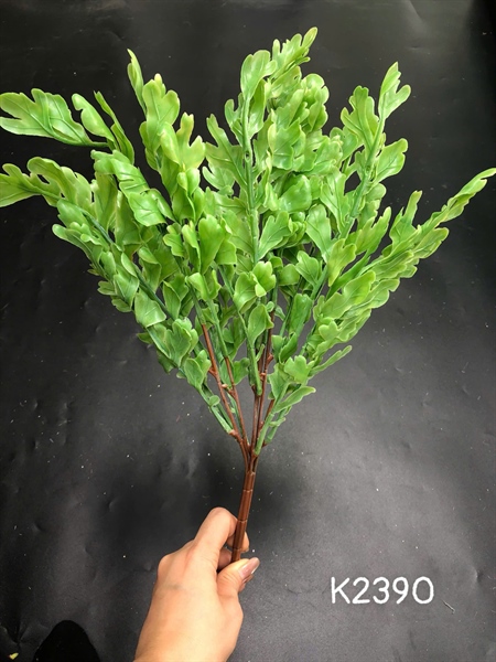 K2390 BỤI LÁ DƯƠNG XỈ CẨM THẠCH ĐÀI LOAN 7N