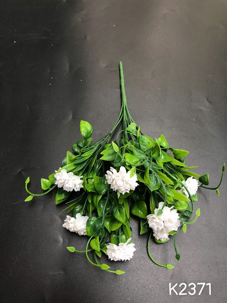 K2371 BỤI CỎ BÔNG MƯỜI GIỜ 7N MÀU TRẮNG