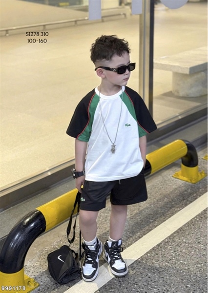 S1278 Set tt cá sấu