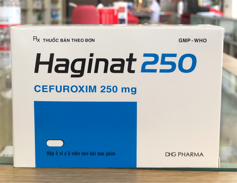 Haginat 250 v/5 h/10 t/1920