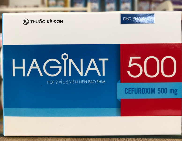 Haginat 500 v/5 h/10 t/1920
