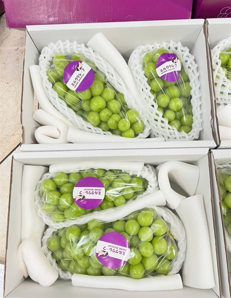 Nho Sữa Shine Muscat