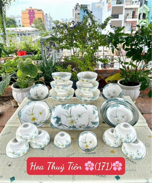 Đĩa 8 ảo hoa thuỷ tiên(60)