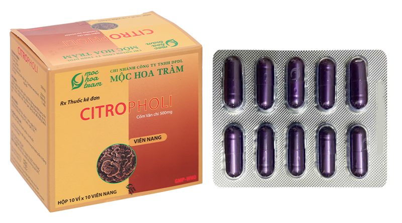 Thuốc Citropholi 500mg Mộc Hoa Tràm Tăng cường hệ miễn dịch cơ thể (H*10vỉ*10viên)