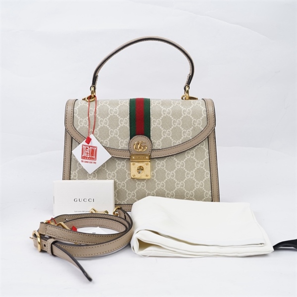 Túi GG Handle nude (D040046271) sz24 (HT)+