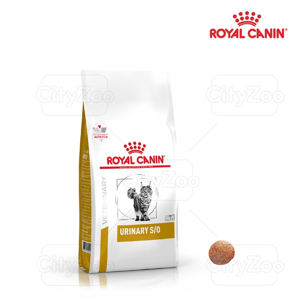 Hạt Mèo Royal Canin Urinary SO Feline 400g