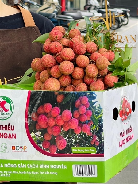 VẢI THIỀU LỤC NGẠN KG