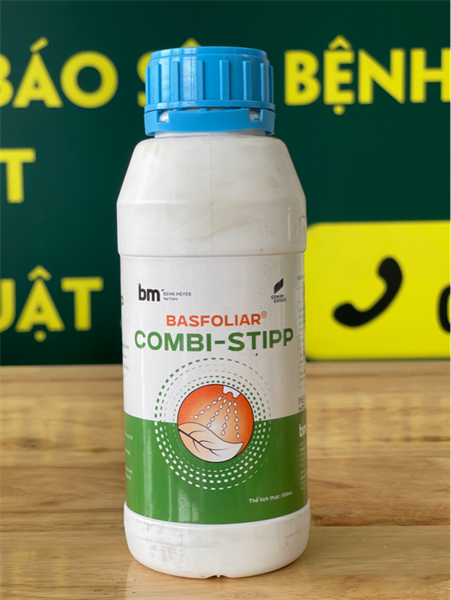 COMBI-STIPP