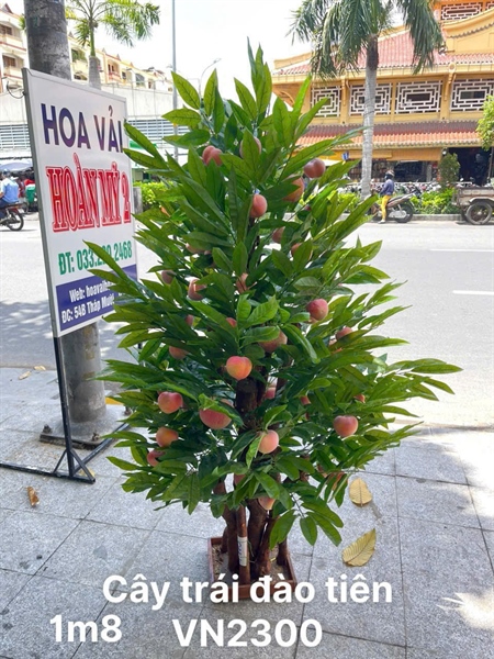 THÀNH PHẨM 4 - A9