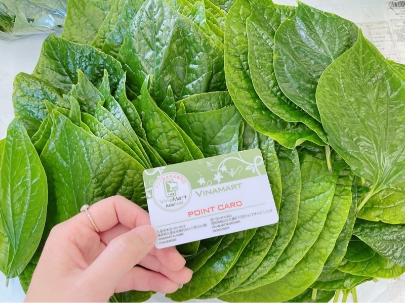Lá Lốt