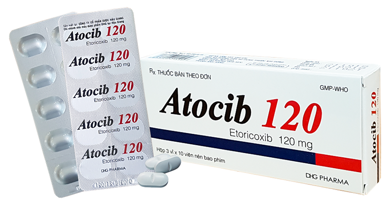Atocib 120 dhg (hộp/30 viên nén)