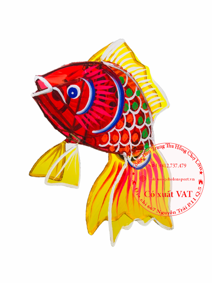 ảnh sản phẩm