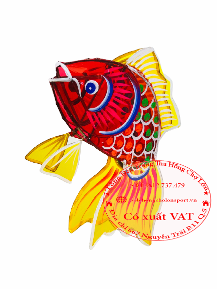 ảnh sản phẩm
