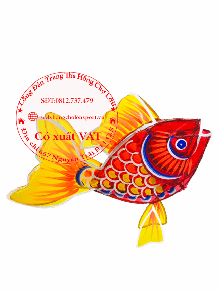 ảnh sản phẩm