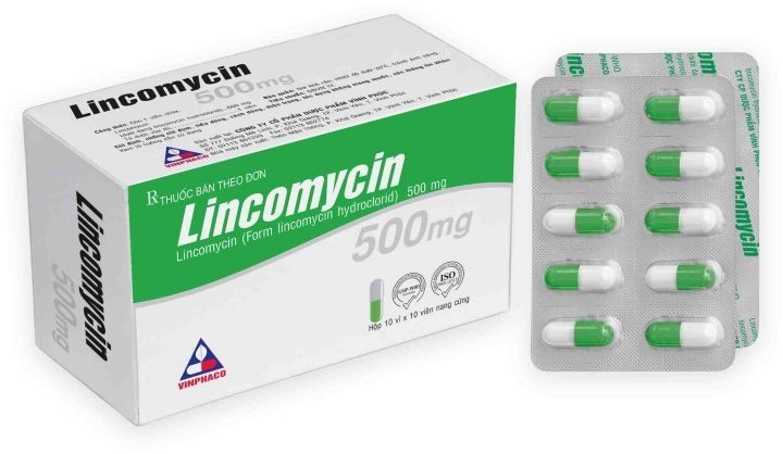 Lincomycin 500mg (Hộp 10 vỉ x 10 viên) - Vình Phúc