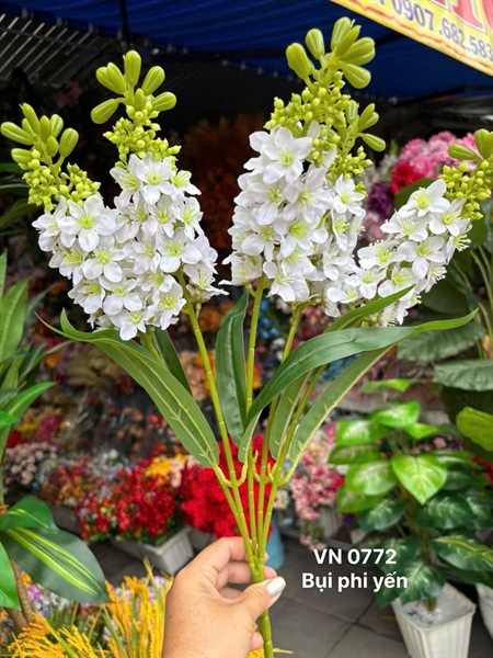 BỤI PHI YẾN 5 B DÀI 53cm BÔNG 17cm VN0772