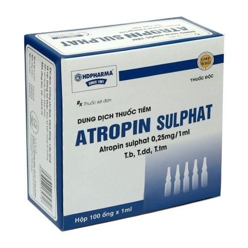 Thuốc Atropin sulphat 0,25mg/1ml (K*36H*100ống) - Hải Dương
