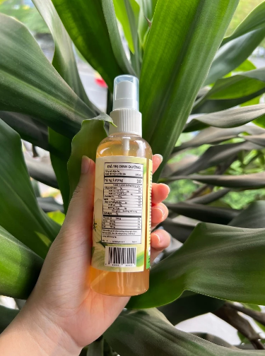 Nước lên men thảo mộc Bồ Công Anh