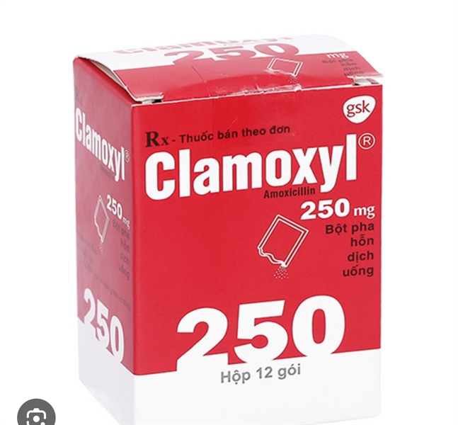 Thuốc Clamoxyl 250mg (Hộp 12 gói) - Glaxo