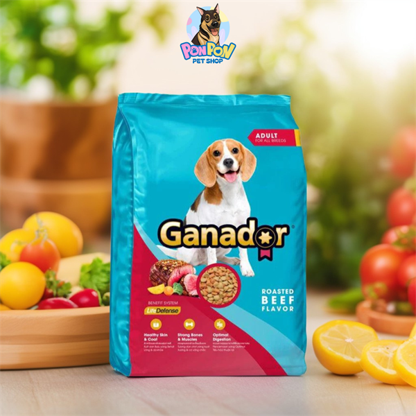 Hạt Ganador cho Chó Trường Thành gói 3kg