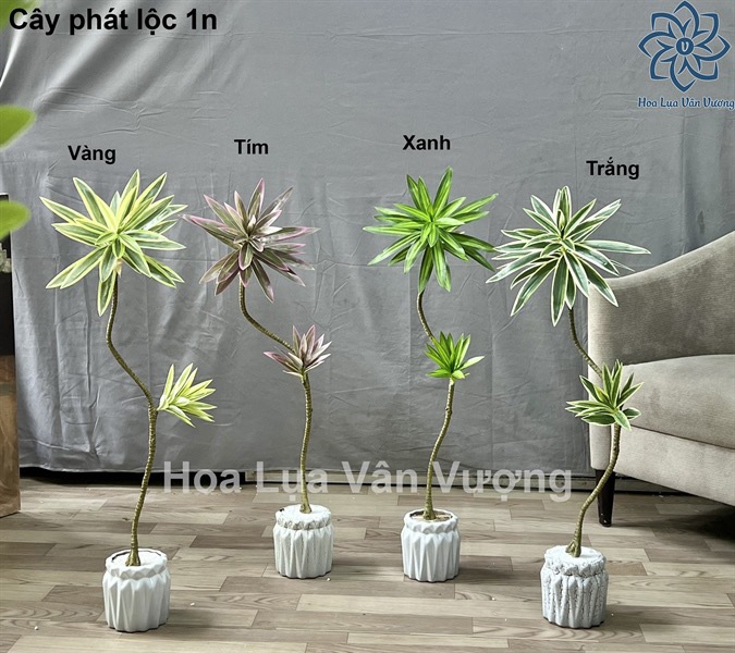 Cây phát lộc 1n - trắng - Cây - Hoa Lụa Vân Vượng