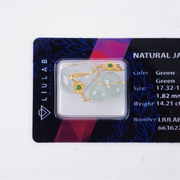 Bông tai băng hồ lô My (663622) KG+