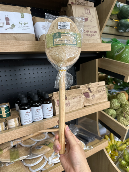 Cây kì lưng xơ mướp Ecoshare