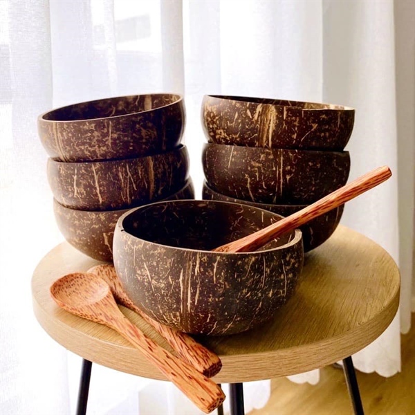 Combo chén gáo dừa+ muỗng dừa