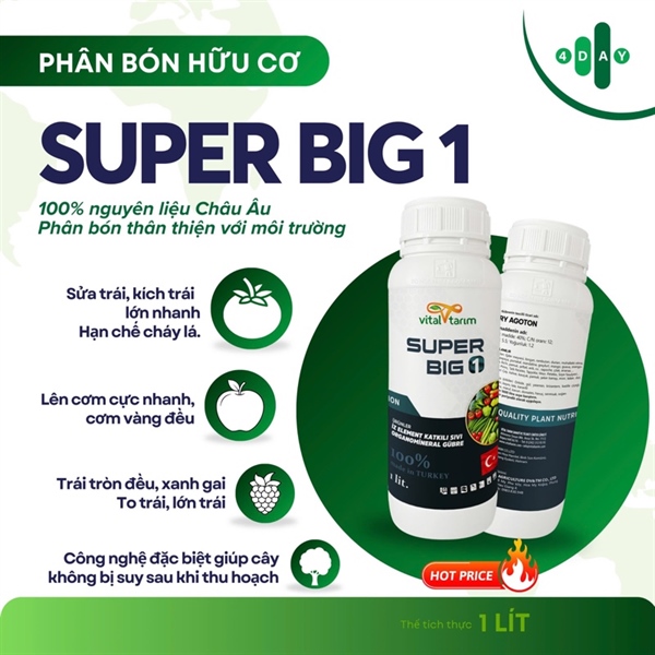 Super Big, chai 1lit, thùng 20 chai
