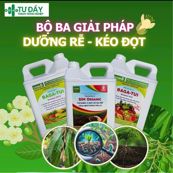 COMBO DƯỠNG RỂ KÉO ĐỌT