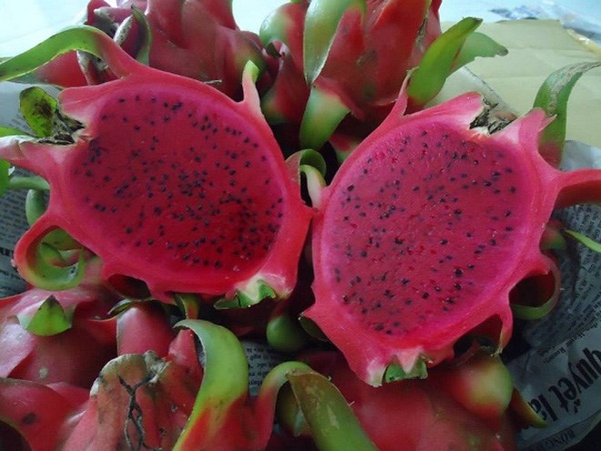 Thanh Long - dragon fruit