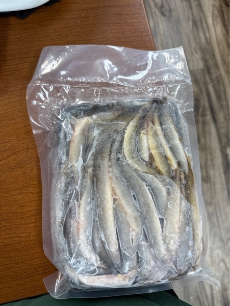 Cá Trạch Láu