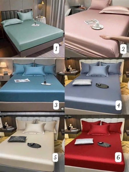 BỘ GA GIƯỜNG PHI LỤA BO CHUN 110825